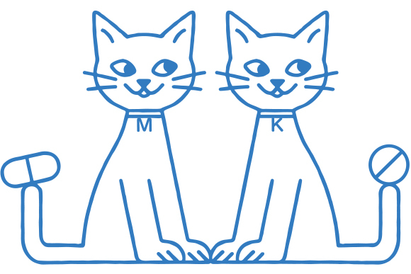 正木薬局 かも店 ロゴ